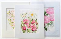 Three matted watercolour floral paintings by Norma Gilmour shown together, shrink wrapped and ready for framing.