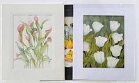 Three matted watercolour paintings shrink-wrapped together, showing calla lilies and white tulips