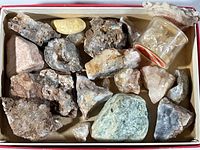 Full box view showing all mineral and crystal specimens inside a small box