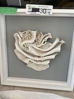 Framed white ceramic wall sculpture with organic coral-like shapes on gray background.