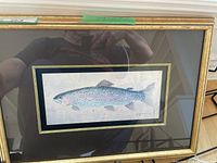 Full view of framed fish artwork showing signature and detailed coloring.