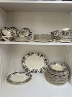 Shelved collection of Royal Cauldon china including teacups, saucers, bread and butter plates, dinner plates, and platters.