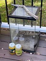 Photo of a glass amphibian tank with black frame and large stick across top, on outdoor surface with two jars of cricket food nearby