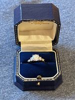 Ring displayed inside blue velvet-lined jewelry box, front elevation view