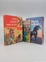 Photo showing the full set of books including 20,000 Leagues Under The Sea, The New Teacher, and The Black Stallion boxed set with slipcover.
