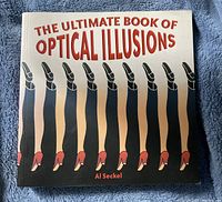 Front cover of The Ultimate Book of Optical Illusions book showing title, author, and artwork of legs in black stockings with red shoes creating an optical illusion.