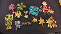 Photo showing full collection of assorted brooches and pendants laid out on dark background
