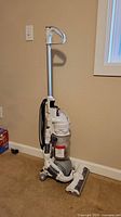 Front view of the upright Dyson DC24 vacuum cleaner showing the handle, clear dust bin, and cleaning head on carpeted floor.