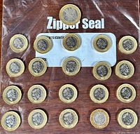 Top-down view of all 22 British one pound coins arranged in a grid on a zipper seal bag, showing obverse side with Queen Elizabeth II profile.