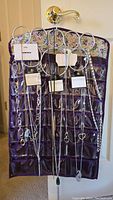 Front view of hanging jewelry storage bag in purple with multiple clear plastic pockets containing necklaces by Sonoma and Dana Buchman hung on metal scarf hanger with circular rings.