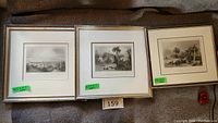 Photo of three framed W.H. Bartlett prints displayed side by side on a carpeted surface