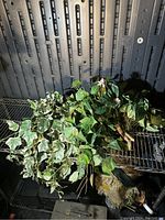 Several silk ivy and green leafy stems, some with pink flowers arranged on a wire shelf.
