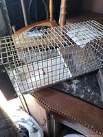 Rectangular metal live trap cage placed on wooden surface, showing wire mesh sides, solid metal base, and spring door mechanism.