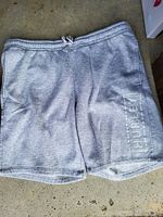 Front view of gray fleece Hurley shorts with elastic waistband and Hurley logo on left leg.