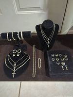 Full lot display showing bracelets, necklaces on stands, rings arranged on a pad, and earrings.