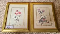 Two framed floral botanical prints displayed side by side on a carpeted floor, gold wooden frames with ridged detailing, each containing a flower illustration with a beige background