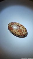 Close-up photo of oval cabochon asteroid jasper gemstone on white background, showing reddish-brown spots on beige base.