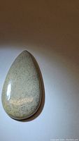 Photo shows the pear-shaped cabochon of fossil coral with polished smooth surface and intricate floral fossil patterns.