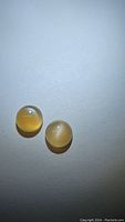 Two round polished cabochon gemstones in light peach color with reflective flash and cat's eye effect under light.
