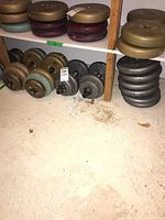 Overall shelf and floor view showing stacked and lined up weight plates and dumbbell bars