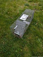 Photo of metal live animal trap cage placed on grass, showing side and top wire mesh and solid metal trigger plate.