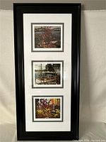 Full view of the three Tom Thomson prints in one long vertical black frame with white and gray matting.