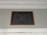 Framed wood artwork with three sets of dried flowers, hanging on wall