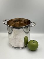 Front angled view of silverplate ice bucket with green apple for size reference.
