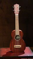 Front view of Leho soprano ukulele showing mahogany body and fretboard.