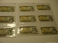 Obverse front side of nine Canadian one dollar bills featuring Queen Elizabeth II, each in a plastic sleeve.