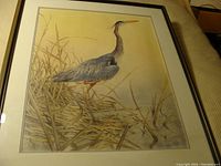 Framed print featuring a standing blue heron in water reeds with detailed plumage and soft background.