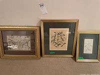Three framed prints leaning against a wall: one map print with thick gold frame, a fish illustration print with dark green mat, and a smaller map with dark green mat and thin frame.