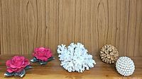 All five decorative pieces displayed in a row on a wooden surface with wood panel background: two pink porcelain roses, white coral, pinecone sphere and white textured sphere.