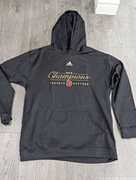 Full front view of black Adidas hoodie showing gold '2019 Champions Toronto Raptors' text and logo.
