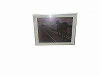 Poster print of a horse near train tracks with a train approaching, black and white photo in clear plastic sleeve.