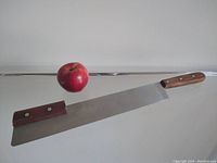 Full length view of large stainless steel cheese cutter with wooden handle and a red apple for size reference.