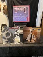 Three vinyl albums displayed against black fabric; central album is Xanadu soundtrack with purple cover, left shows Photograph by Ringo Starr, right shows Rick Springfield album cover with dog in shirt and tie.