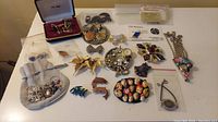 Overview of assorted pins and brooches, showing multiple items spread out on a table, including floral brooch, novelty pins, and costume jewelry.