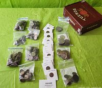 Overview of coin bags and cardboard 2x2 holders with various US coins on a green surface and a red cigar box.