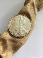 Obverse side of the 2001 American Silver Eagle coin showing Lady Liberty, date, and motto 'IN GOD WE TRUST'.