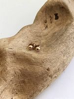 Photo of tiny 14 karat gold dome stud earrings placed on a carved wooden piece.