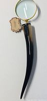 Photo shows full magnifying glass with large circular lens, brass mount, and long curved horn handle.