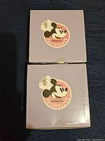 Two boxes showing circular Disney Passholder Minnie Mouse and Daisy Duck themed designs on the lids.