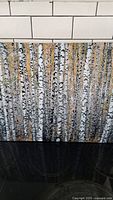 Front view of rectangular wall print showing birch tree trunks in white, black, gold, and green colors against a light background.