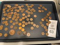 Full tray shot showing the assortment of pennies and some other coins spread out on a tray.