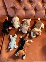 Six Ty small beanie animals including four dogs, one cat, and one elephant laid out on a brown velvet couch, showing their backs and sides with Ty tags visible.