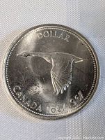 Obverse side of the 1967 Canadian silver dollar coin showing flying Canada goose with inscriptions