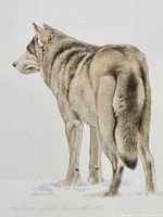 Close-up of the signed print showing the wolf with signature, edition number, and date.