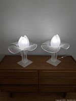 Pair of vintage flower-shaped table lamps illuminated on wooden dresser.