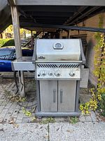 Front view of Napoleon Rogue stainless steel gas barbecue grill with four control knobs and temperature gauge visible on lid, photographed outdoors with surrounding foliage.